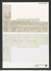Melosira subflexilis Ktz. (de-Toni-Nr.: Genus 213, Species 1279415) Zeichnungen Sammlung Grunow (NHMW-BOT-W0379064)